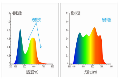 WPS图片-修改尺寸(4).png